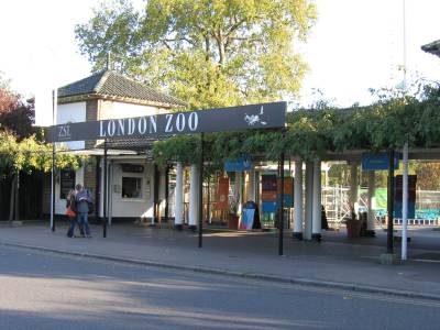 londonzoo