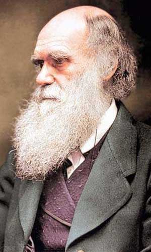 darwin-1