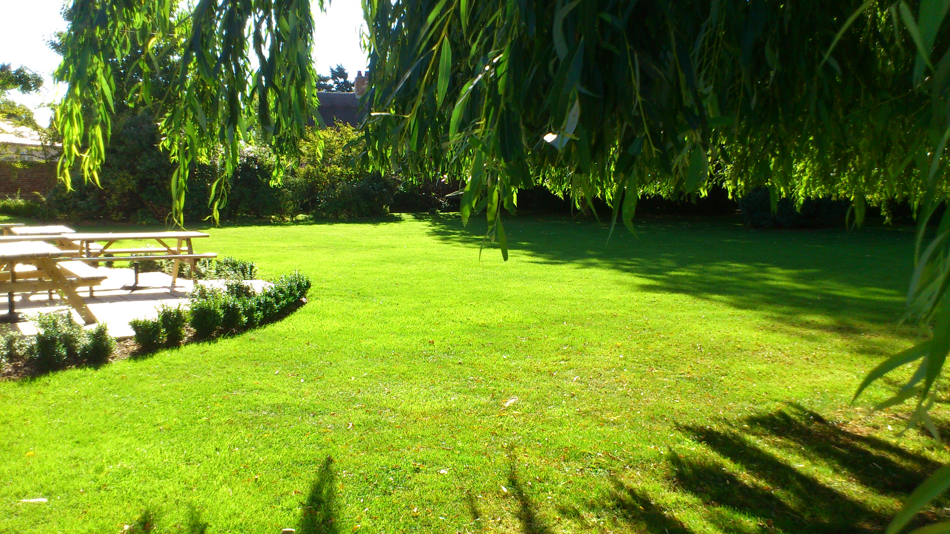 Территория возле Cambridge Academy of English