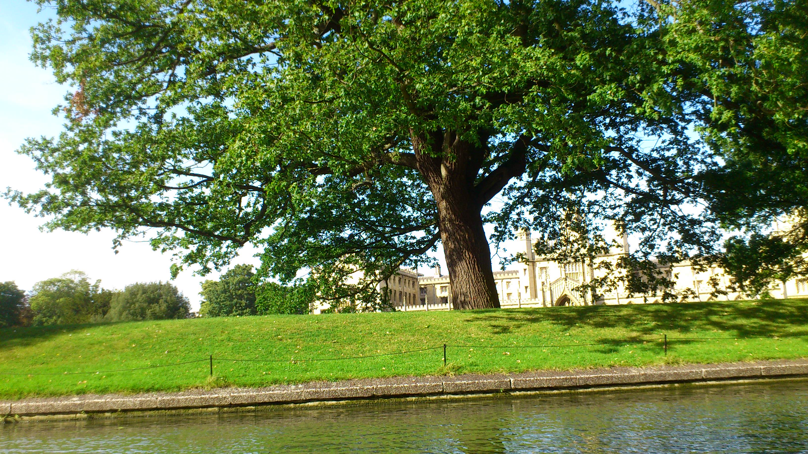 Green Cambridge