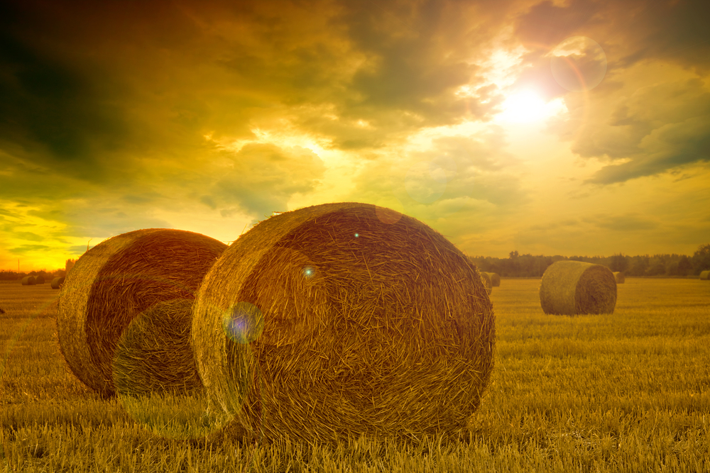 7. hay-bail_shutterstock_70126972