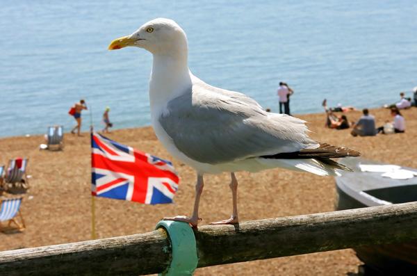 Brighton_Beach_England_gallery__600x397