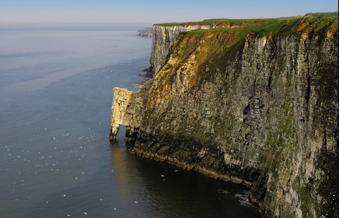 Bempton Cliffs, East Yorkshire Bempton Cliffs, East Yorkshire