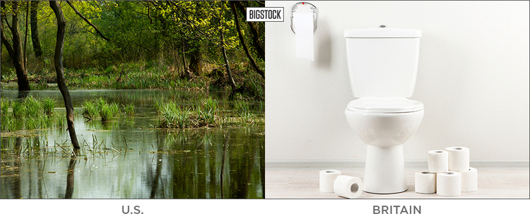 britain_us_bog