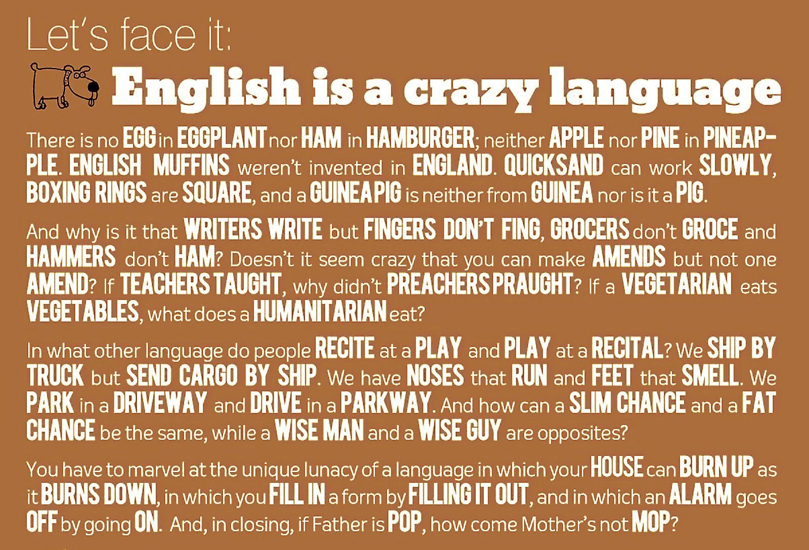 englishiscrazy